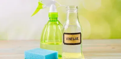 water-vinegar-sponge